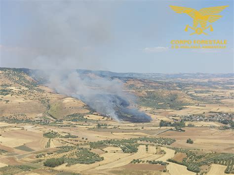 incendio san gavino|Paura a San Gavino, vasto incendio alla periferia del paese:。